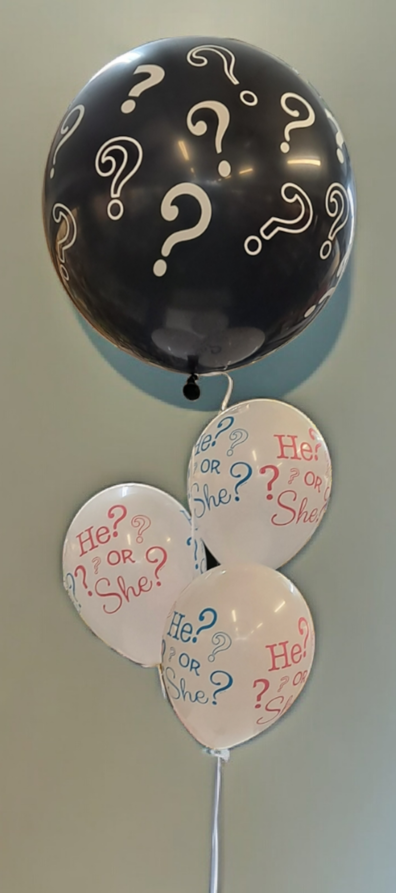 Gender Revel Balloons